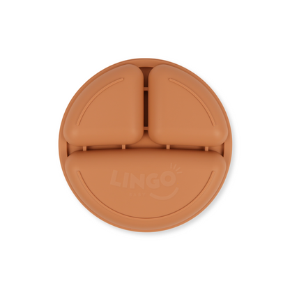 Plato divisiones | Rust